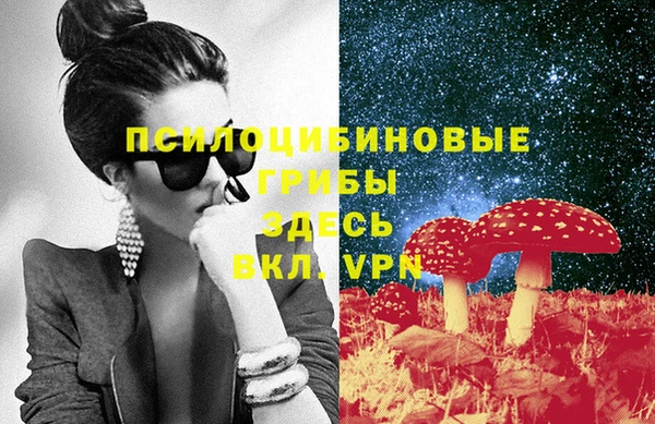 мяу мяу мука Беломорск