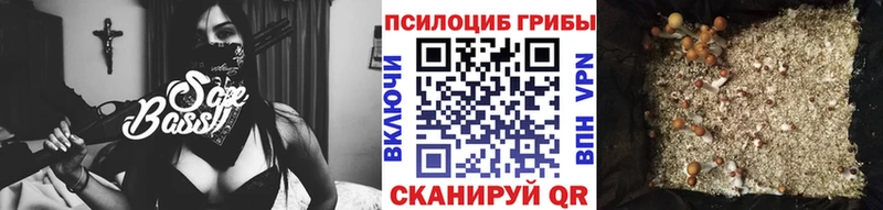 купить наркотик Болхов Галлюциногенные грибы мицелий